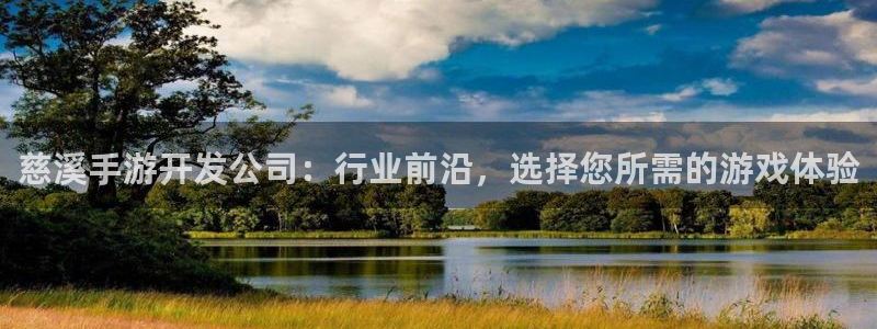 恒盛娱乐注册：慈溪手游开发公司：行业前沿，选择您所需的游戏体