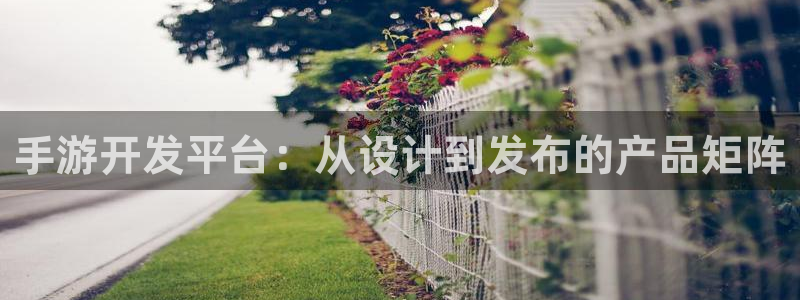 恒盛娱乐首页：手游开发平台：从设计到发布的产品矩阵