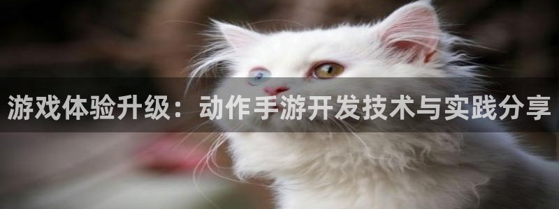 恒盛娱乐平台：游戏体验升级：动作手游开发技术与实践分享