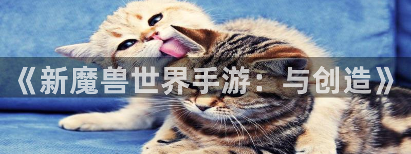 恒盛娱乐登陆：《新魔兽世界手游：与创造》