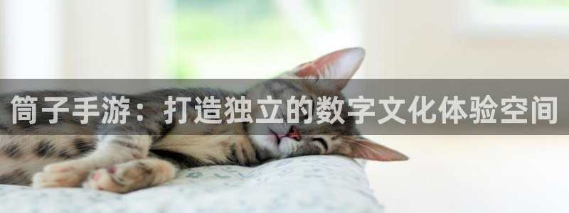恒盛娱乐登录：筒子手游：打造独立的数字文化体验空间