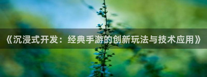 恒盛娱乐登录：《沉浸式开发：经典手游的创新玩法与技术应用》