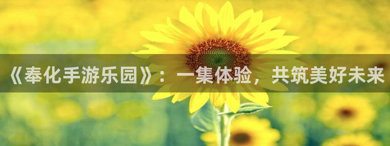 恒盛娱乐注册：《奉化手游乐园》：一集体验，共筑美好未来