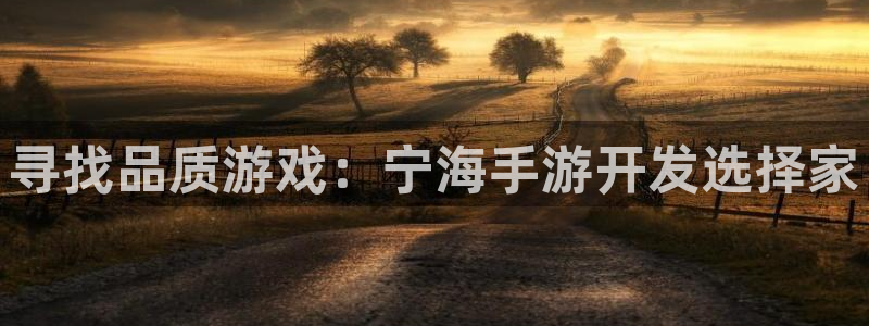 恒盛娱乐登录：寻找品质游戏：宁海手游开发选择家