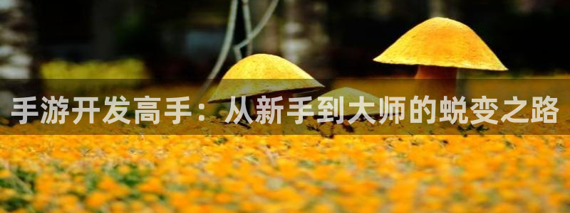 恒盛娱乐登陆：手游开发高手：从新手到大师的蜕变之路