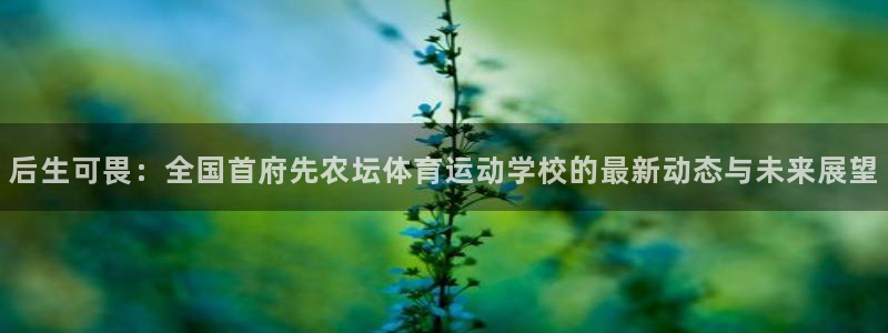 xc体育app官方网站
