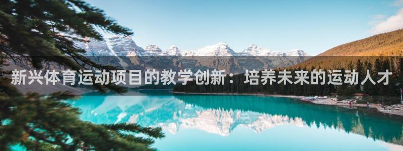 xc体育app官方网站
